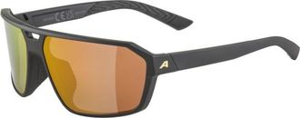 Alpina Swift Mirror S2 Sonnenbrille - Unisex | grau