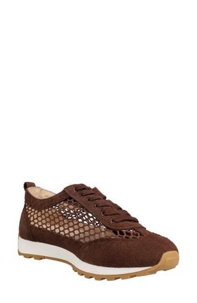 Pelle Moda Kimsy Lace-Up Sneaker in Espresso at Nordstrom, Size 6.5
