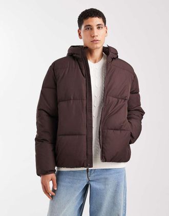 Hollister Piumino corto marrone con cappuccio