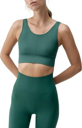 Born Living Yoga Naisha Medium Support Seamless Sport Top in Moss at Nordstrom, Size Medium Eu