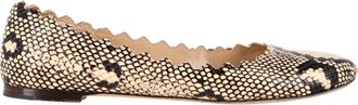 Chlo&eacute; Pre-owned Womens Chlo&eacute; Lauren Scalloped Snake-Print Ballet Flats in Animal Print Leather - Size EU 39