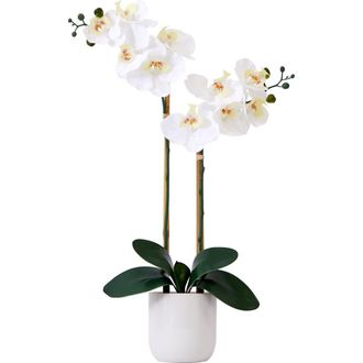 Nearly Natural 26-in Artificial Double Orchid Phalaenopsis with Decorative Vase in White at Nordstrom