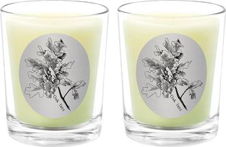 Qualitas Oak Tree Two Scented Beeswax Candle Set