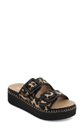 Mia Jimenna Buckle Strap Platform Sandal in Leopard/Black at Nordstrom, Size 9.5