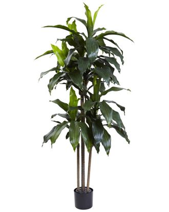 Nearly Natural 5Ft Dracaena Uv-Resistant Plant (Indoor/Outdoor)