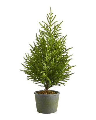 Nearly Natural 3Ft Norfolk Island Pine Natural Look Artificial Tree