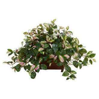 Nearly Natural Hoya Artificial Plant in Decorative Planter in Green at Nordstrom