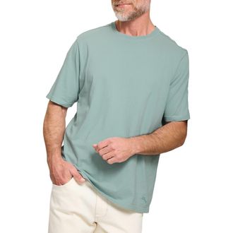 Tommy Bahama Kauai Keys Cotton T-Shirt in Dark Alpine at Nordstrom, Size 3Xlt