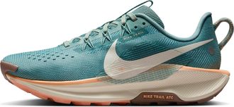 Nike (WMNS) Nike Pegasus Trail 5 Cannon DV3865-010