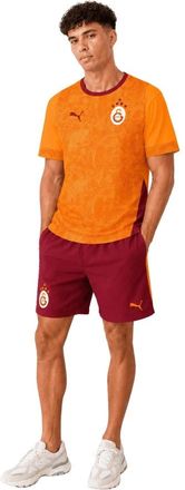 Puma Hombre, Deporte, Multicolor, Talla: S