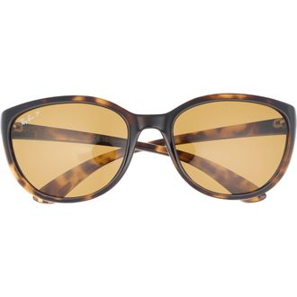 Ray-Ban 59mm Square Sunglasses in Havana at Nordstrom Rack
