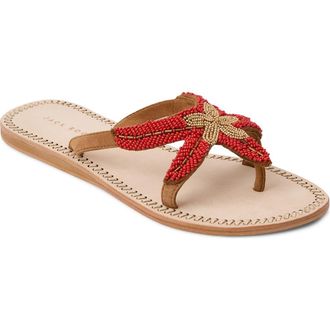 Jack Rogers Starland Sandal in Red Multi at Nordstrom, Size 6.5
