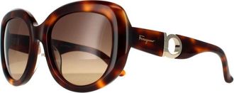 Ferragamo Oval Womens Tortoise Brown Gradient Sunglasses - One Size