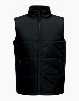 Regatta Mens Regatta Professional Mens Quilted Insulated Body Warmer - Black - Size: Regular/36