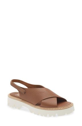 Pedro Garcia Reme Slingback Sandal in Dnu Saddle Cervo at Nordstrom, Size 10Us