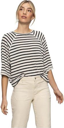 Sanctuary Boxy Raglan T-Shirts Womens Clothing Black W/ Light Oat Stripe : XL (US 14), Cotton/Polyester/Rayon