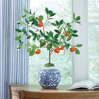 Ballard Designs Faux Citrus Tree in Planter - Ballard Designs