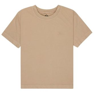 Quiksilver Essential S/S Tee T-Shirt f&uuml;r Damen | beige