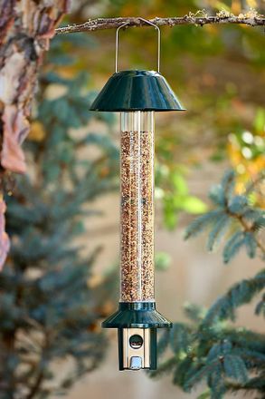 Terrain PestOff Squirrel Proof Bird Feeder