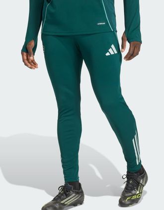 adidas Arsenal tiro 25 Competition - Pantaloni da allenamento color aurora ivy-Verde