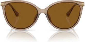 Michael Kors Dupont 58mm Polarized Cat Eye Sunglasses in Brown Transparent/Brown Polar at Nordstrom
