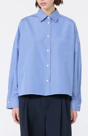 Max Mara Striped Cotton Shirt in Cornflower at Nordstrom, Size 14