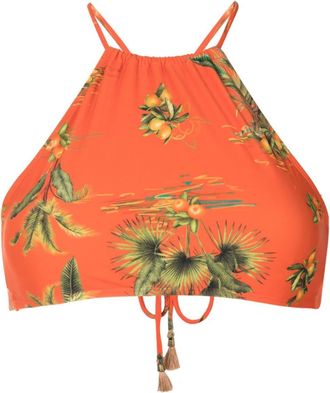 Lygia & Nanny Ilana botanical-print bikini top - women - Elastane/Polyamide - 38 - Orange