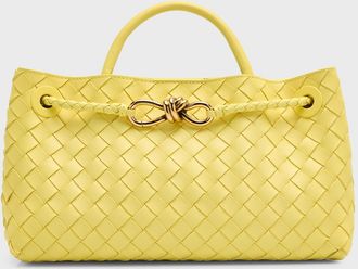 Bottega Veneta Small East-West Andiamo Bag