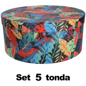 Vacchetti Vacchetti - Caja Cart&oacute;n 1-5 Plumas Multicolor Redonda Cm&oslash;40,5h17,8