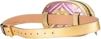 Gucci Pre-owned Belt Bags, female, Multicolor, Size: ONE SIZE Pre-owned Vintage Belt Bag