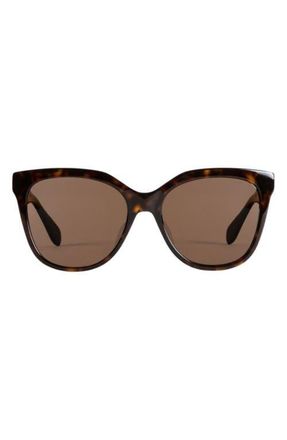 Mohala Eyewear Pikake Medium Bridge Medium Width 55mm Polarized Cat Eye Sunglasses in Kukui Tortoise at Nordstrom