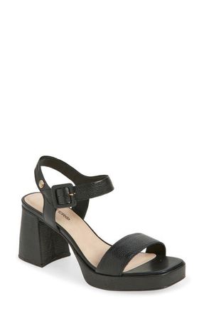 Bottero Britnet Ankle Strap Platform Sandal in Preto at Nordstrom, Size 10