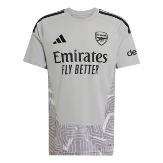 adidas Arsenal FC 26/27 Goalkeeper Asia Sizing Grey KY2186