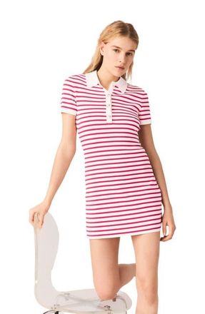 Maje Striped polo dress in Red at Nordstrom, Size 40 Eu