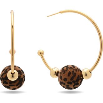 Eye Candy Los Angeles Lara Hoop Earrings in Gold at Nordstrom Rack