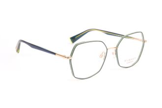 Ana Hickmann Optical Frame HI1229 12A 52