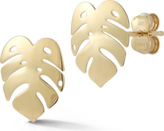 Ember Fine Jewelry 14K Gold Banana Leaf Studs