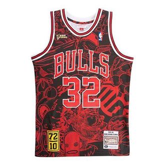 Mitchell & Ness NBA x Hebru Brantley 95-96 32 AJY4LF19082-CBUBKRD