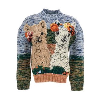 Stella McCartney Dames, Truien, Veelkleurig, Maat: S Wol