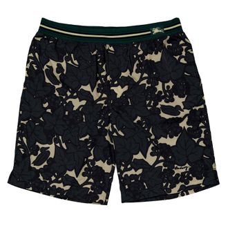 Burberry Ivy and Duck Motifs Nylon Shorts, Size XX-Small