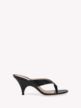 Gianvito Rossi Sofia Thong Mule in Black Calf Leather at Nordstrom, Size 34