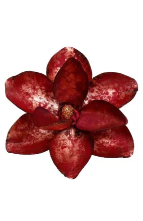 Mark Roberts Christmas Magnolia With Clip, Set of 12 in Dark Red at Nordstrom
