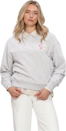 Tommy Jeans Dames, Sweatshirts & Hoodies, Grijs, Maat: XS Katoen
