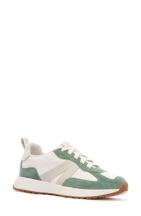 FRANKiE4 Axel II Sneaker in Chalk/Eucalyptus at Nordstrom, Size 13