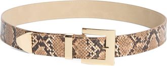 Steve Madden Snakeskin Print Faux Leather Belt in Brown at Nordstrom Rack, Size X-Large