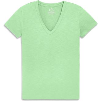 primary Adult Classic Slub V-Neck Tee in Pear at Nordstrom, Size Xx-Large