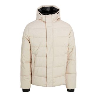 Jack & Jones Jack And Jones Heren pufferjack met capuchon, geribd en in kleurblokken (Maanstraal)