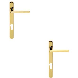 Loops 2x PAIR Straight Lever on Narrow Euro Lock Backplate 220 x 26mm Stainless Brass in Metallics