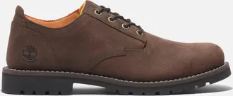 Timberland Mens Redwood Falls Lace-Up Waterproof Shoe