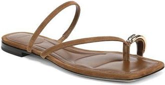 Vince Polli Toe Loop Sandal in Elmwood at Nordstrom, Size 8.5